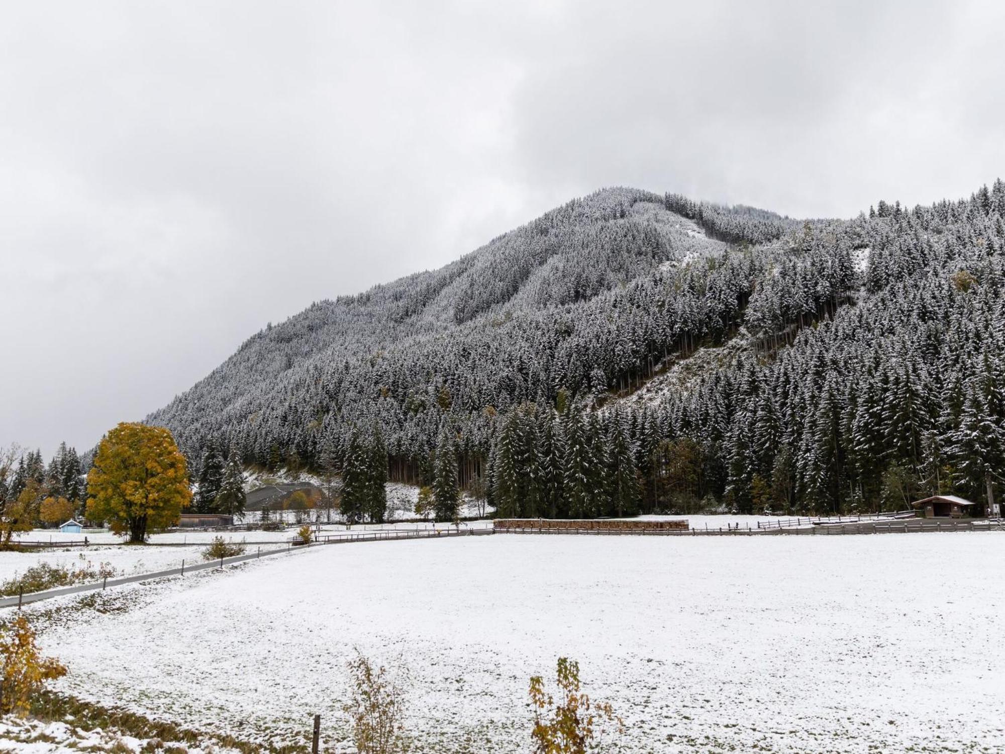 Chalet Apartment In Saalbach Hinterglemm Ngoại thất bức ảnh