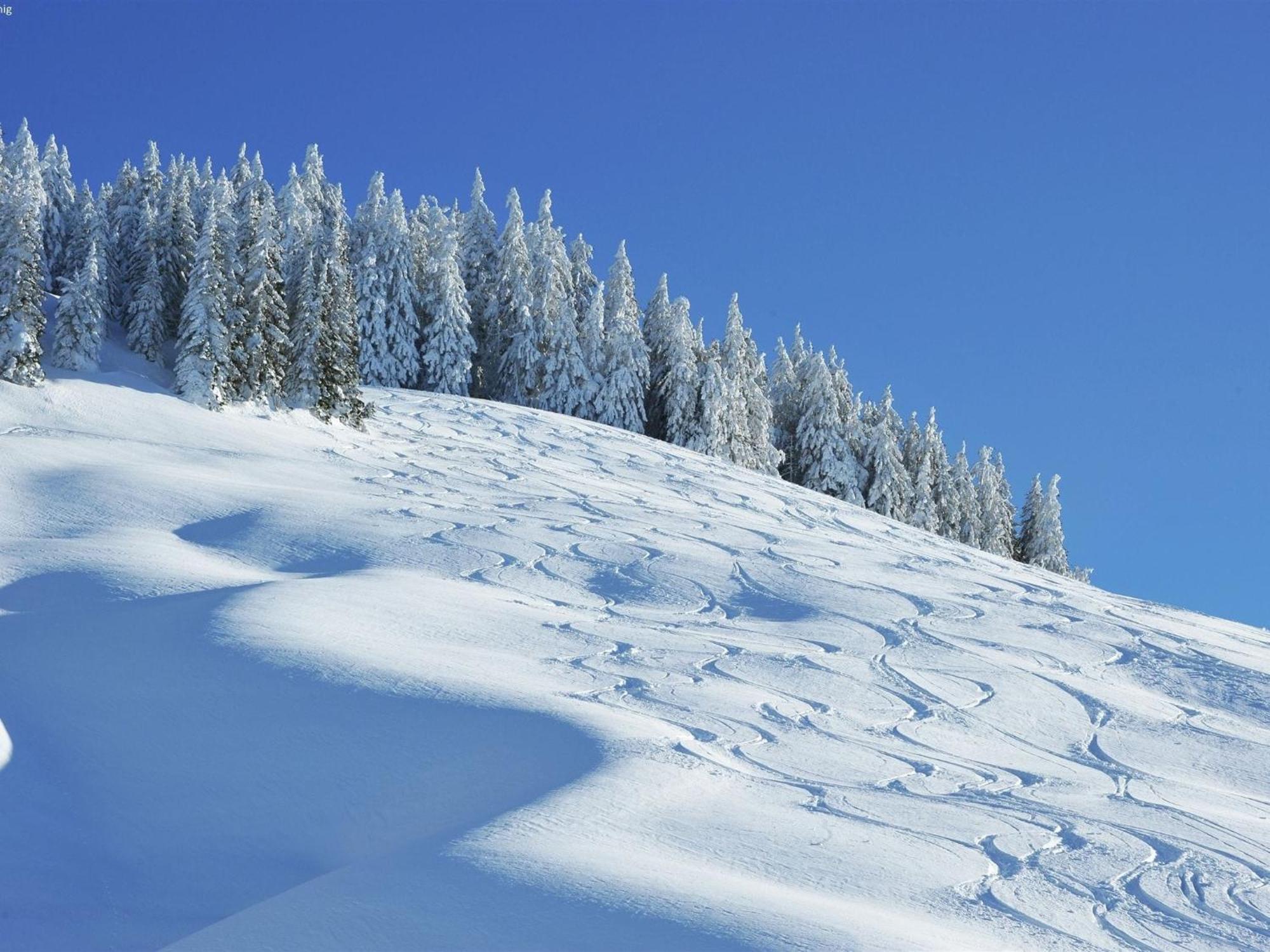 Chalet Apartment In Saalbach Hinterglemm Ngoại thất bức ảnh